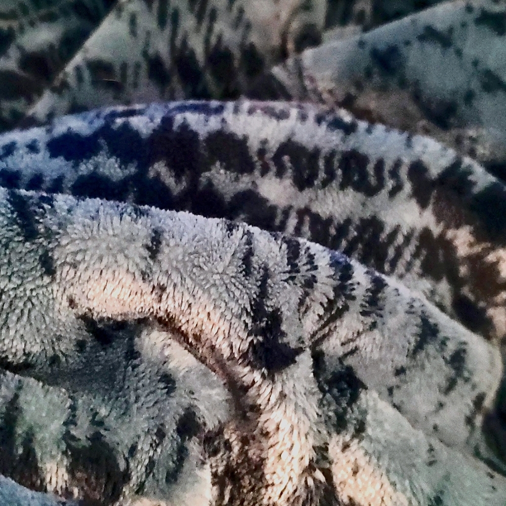 Testing - Picture 1 of 1
